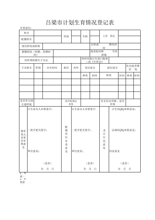 个人审查表