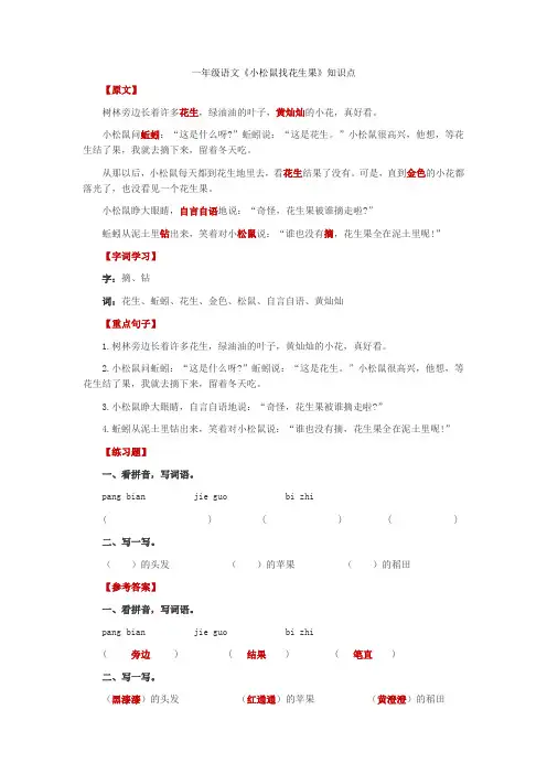 一年级语文《小松鼠找花生果》知识点