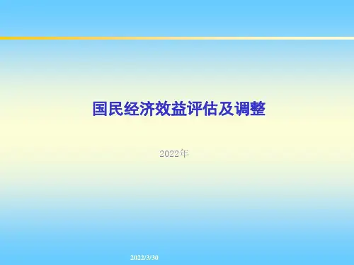 国民经济效益评估及调整