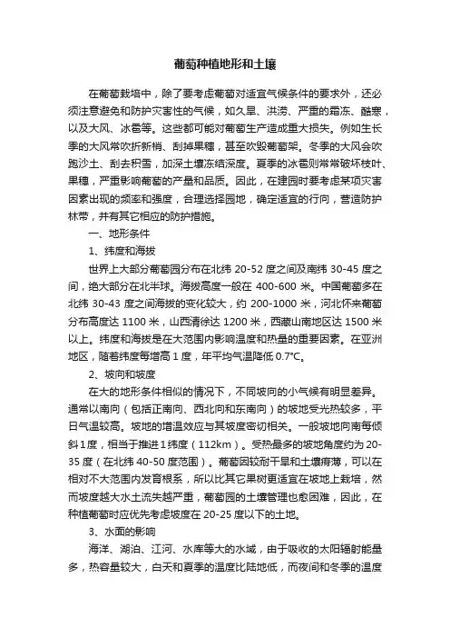 葡萄种植地形和土壤