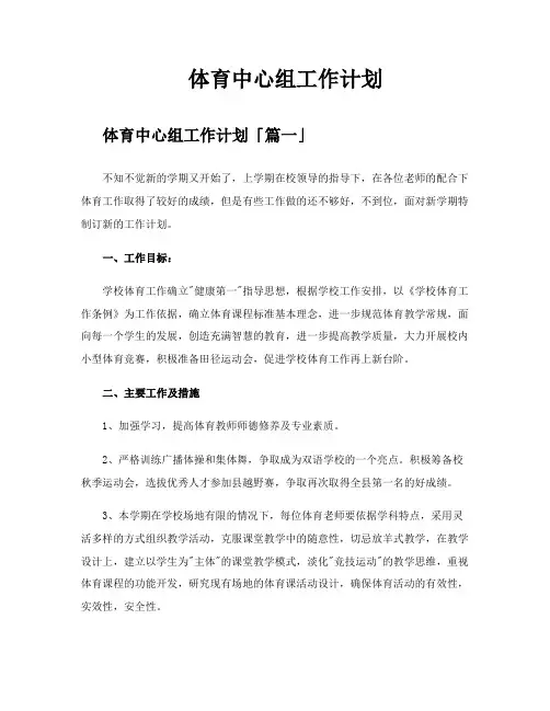 体育中心组工作计划