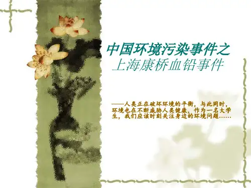中国环境污染事件