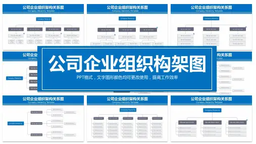 公司人事组织架构部门人物关系图