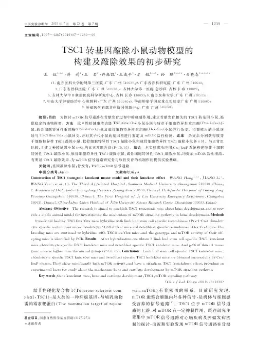TSC1转基因敲除小鼠动物模型的构建及敲除效果的初步研究