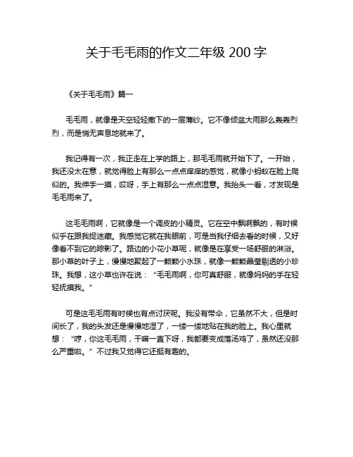 关于毛毛雨的作文二年级200字