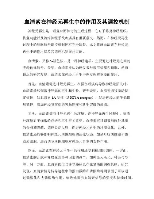血清素在神经元再生中的作用及其调控机制