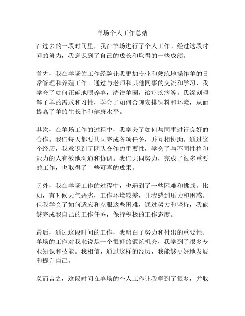 羊场个人工作总结