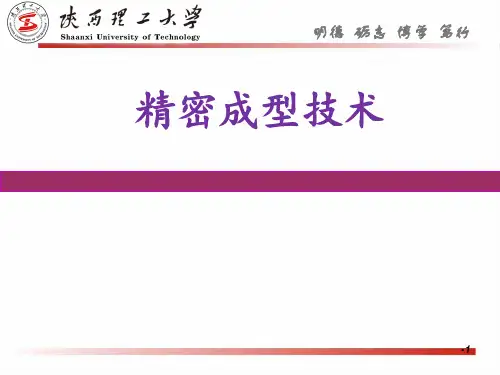 精密成型技术PPT课件