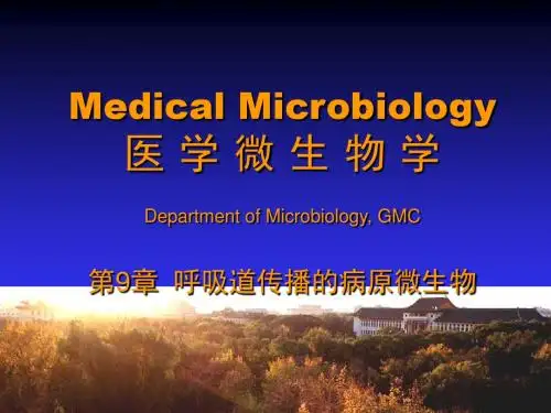 呼吸道传播的病原微生物其他细菌ppt课件