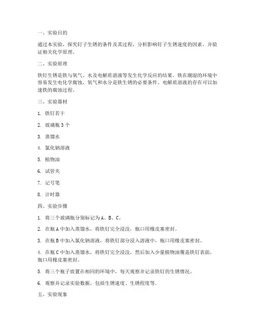 钉子生锈化学实验报告