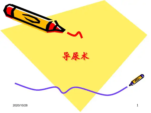 导尿术 ppt课件