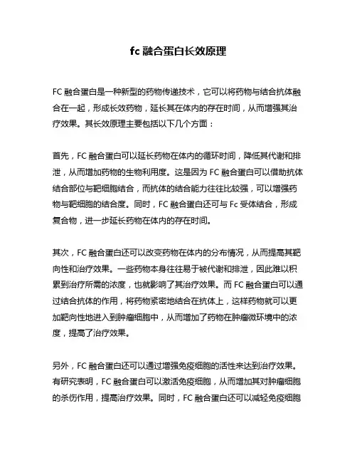 fc融合蛋白长效原理