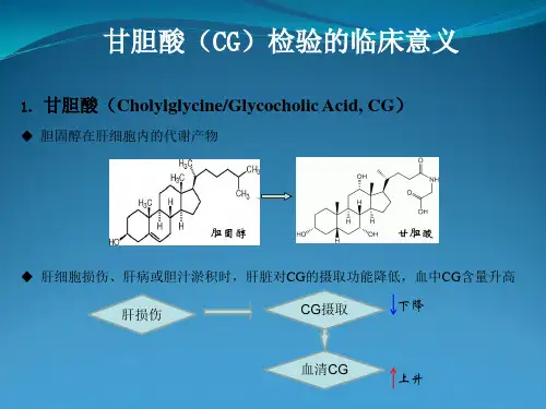 甘胆酸(CG)项目简介