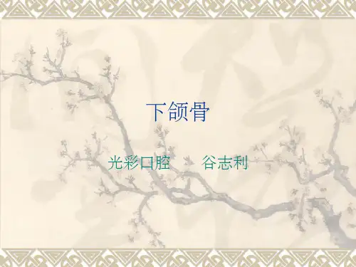 下颌骨ppt课件