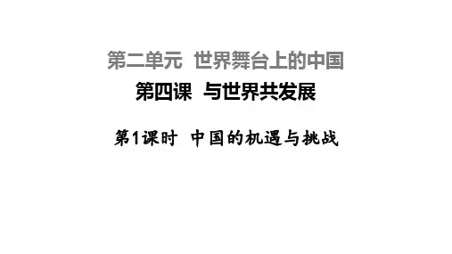 部编版《中国的机遇与挑战》课件PPT3