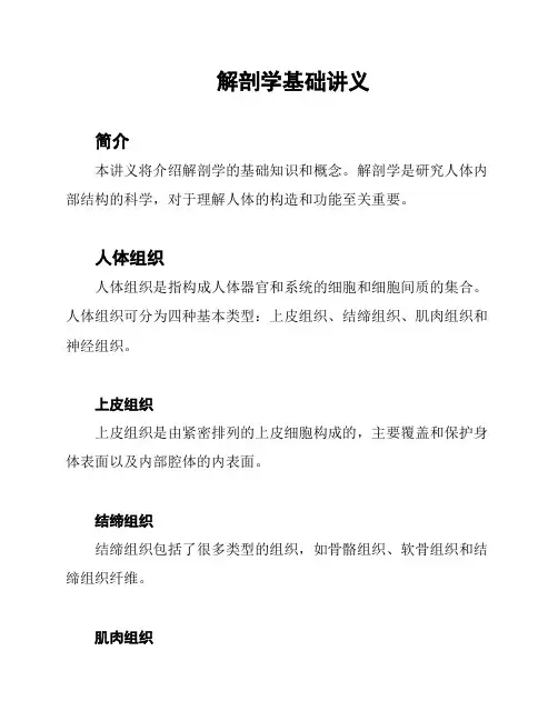 解剖学基础讲义