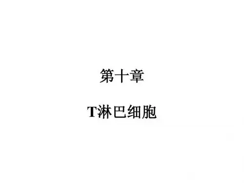10.T淋巴细胞