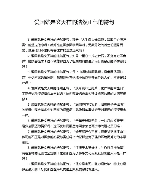 爱国就是文天祥的浩然正气的诗句