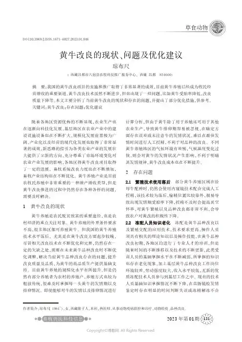 黄牛改良的现状、问题及优化建议