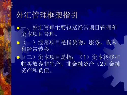 外汇管理框架