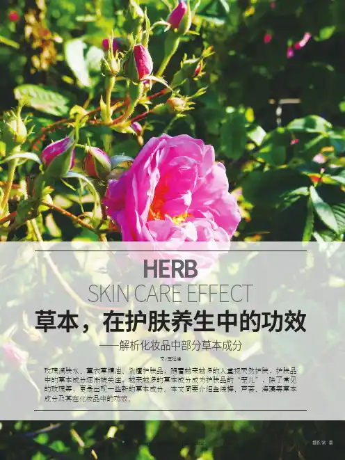 草本，在护肤养生中的功效——解析化妆品中部分草本成分