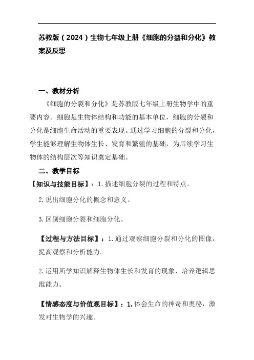 1.2.1 细胞的分裂和分化 教案-2024--2025学年苏教版生物七年级上册