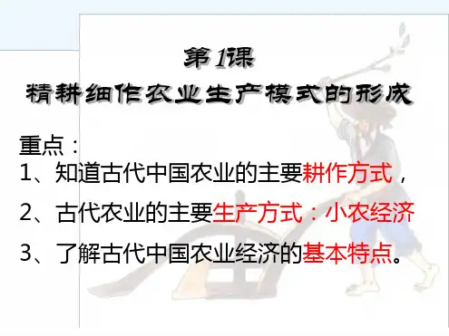 第一课精耕细作农业生产模式的形成