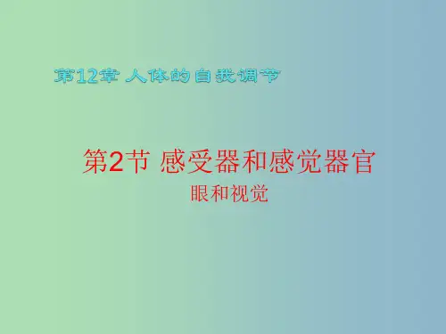 七年级生物下册 第四单元 第六章 第2节 第1课时 眼与视觉 新人教版