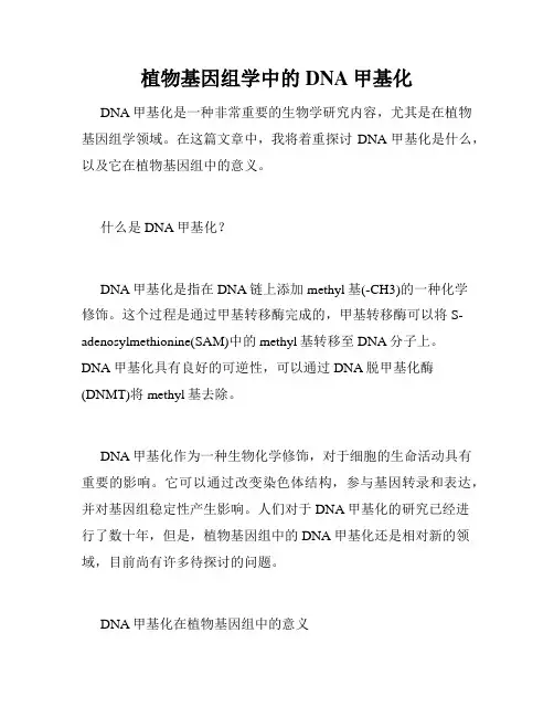 植物基因组学中的DNA甲基化