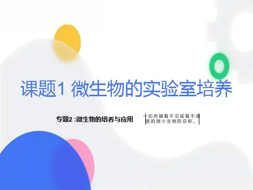 微生物的实验室培养(课件)