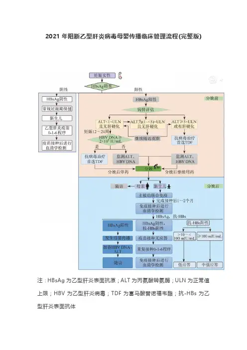 2021年阻断乙型肝炎病毒母婴传播临床管理流程(完整版)