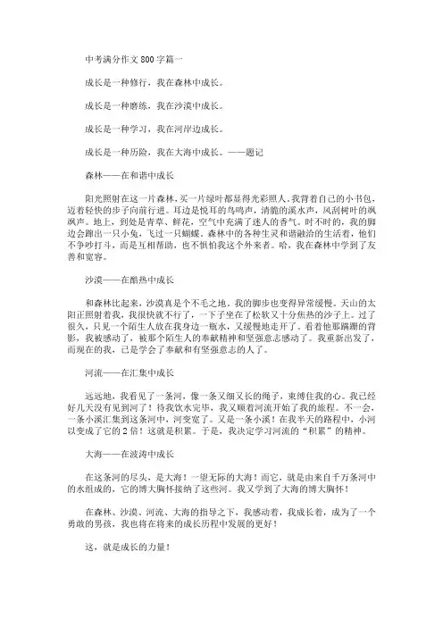中考满分作文800字【十篇】