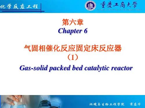 6气固相催化反应固定床反应器