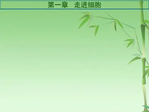 高三生物一轮复习走进细胞(共120张PPT)