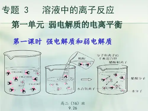强电解质和弱电解质课件