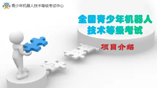 机器人等级PPT课件