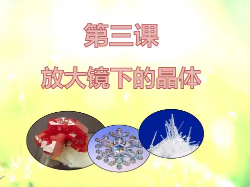 六年级下册科学放大镜下的晶体教科版 (4)