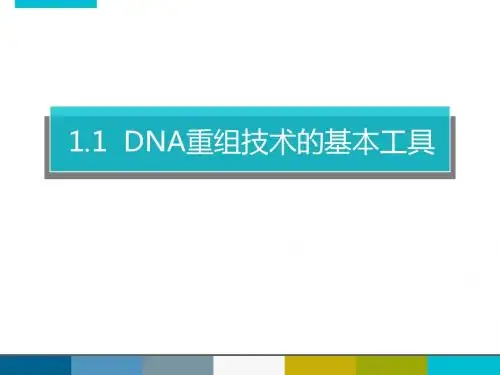 DNA重组技术的基本工具