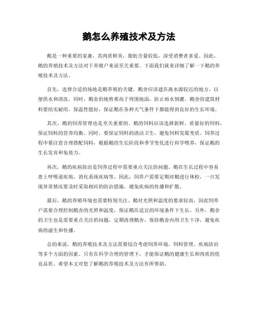 鹅怎么养殖技术及方法