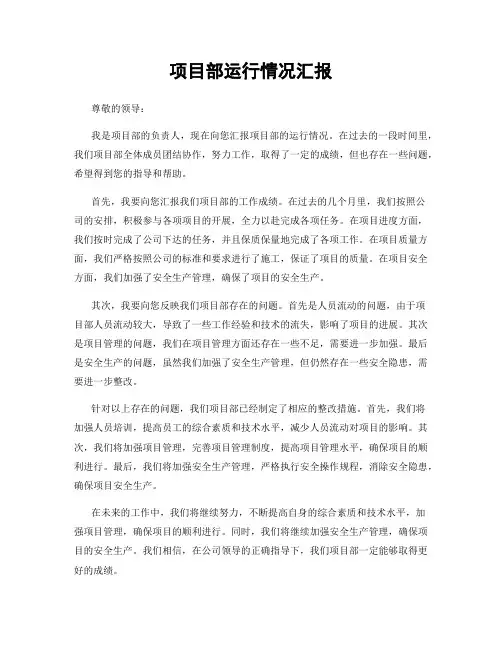 项目部运行情况汇报