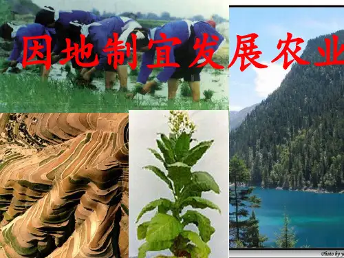 因地制宜发展农业课件 