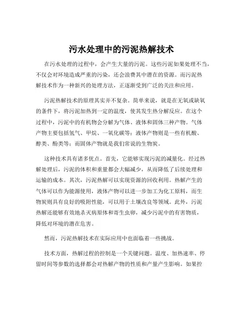 污水处理中的污泥热解技术
