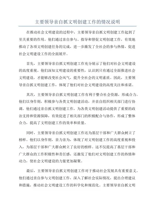 主要领导亲自抓文明创建工作的情况说明