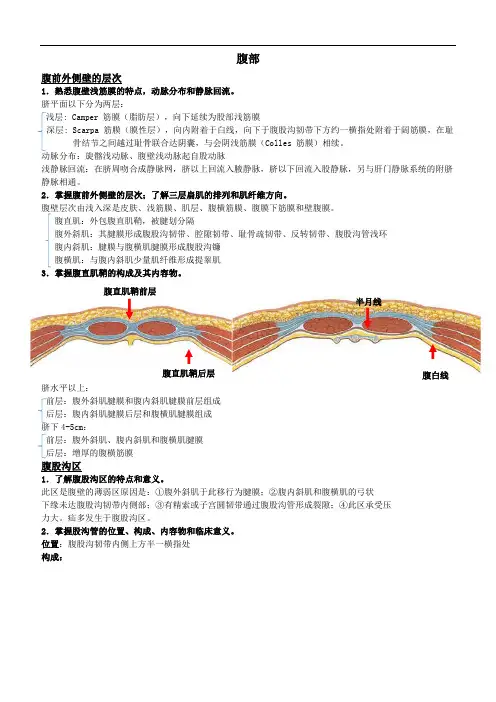 腹部腹前外侧壁的层次