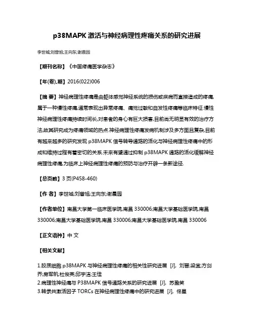 p38MAPK激活与神经病理性疼痛关系的研究进展