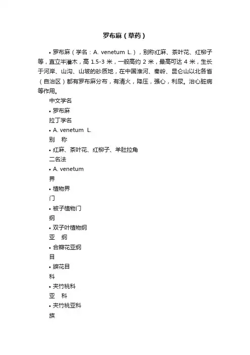 罗布麻（草药）