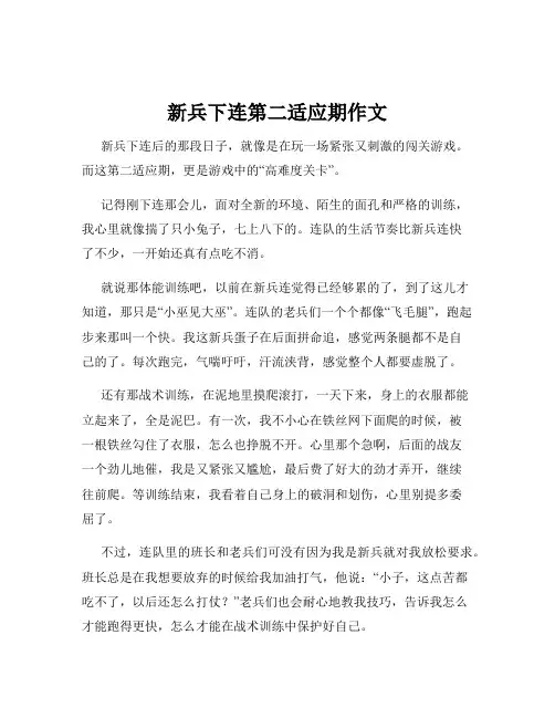新兵下连第二适应期作文