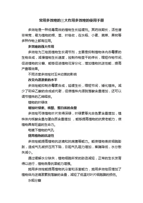常用多效唑的三大作用多效唑的使用手册