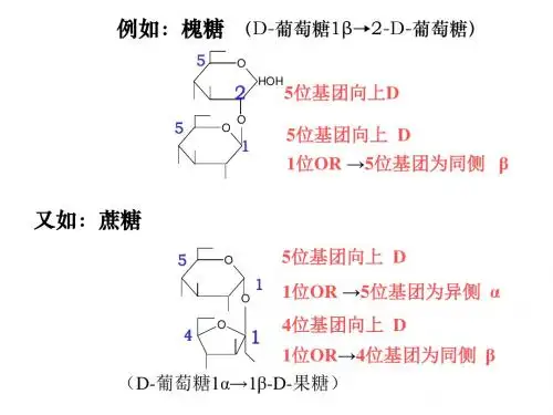 第二章 糖和苷