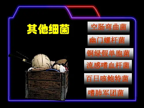 各类细菌的特性